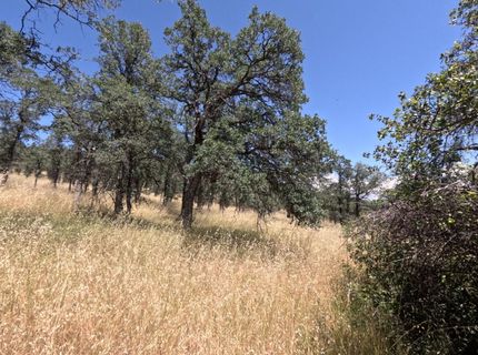 0 Hazen Rd, Manton, CA 96059 Photo