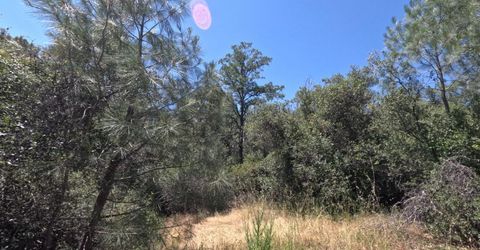 0 Hazen Rd, Manton, CA 96059 Photo