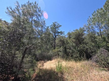 0 Hazen Rd, Manton, CA 96059 Photo