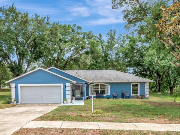 12500 DRAW DRIVE , GRAND ISLAND, FL 32735