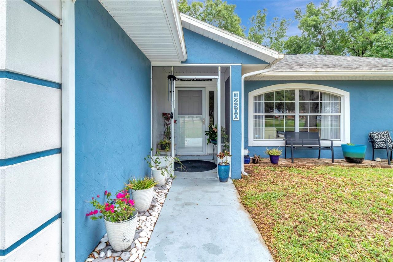 12500 Draw Drive, Grand Island, FL 32735 Photo