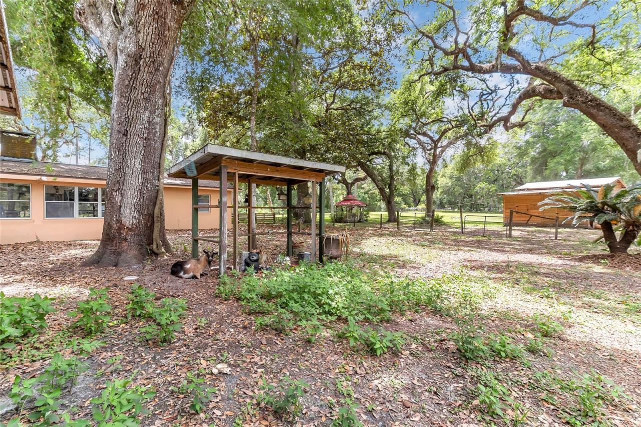 5012 Wc 476, Bushnell, FL 33513 Photo