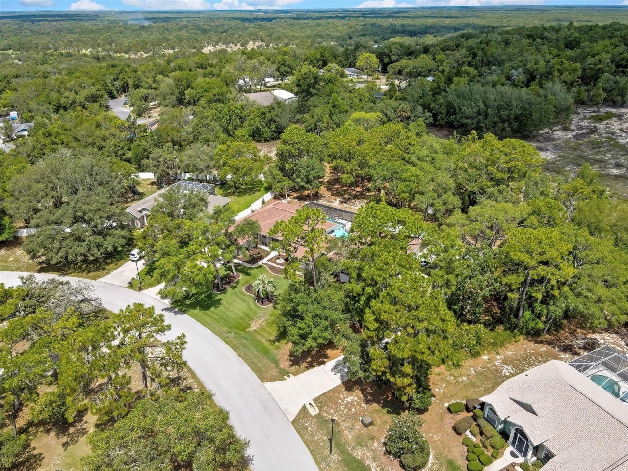 5701 W Chive Loop, Homosassa, FL 34448 Photo