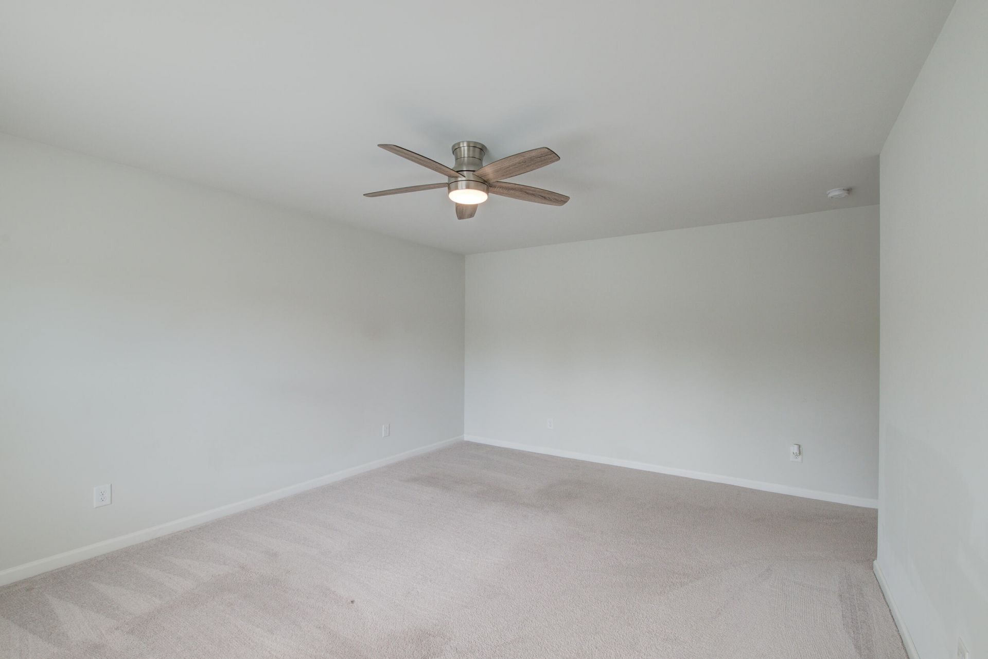 625 Jancus Street Photo 14