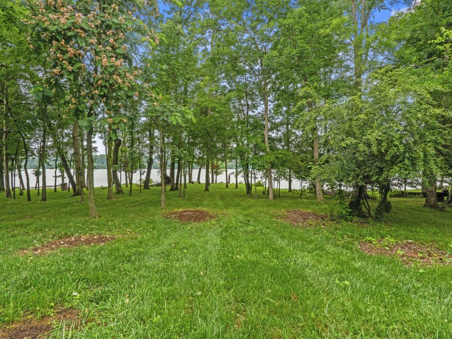Property Image 57