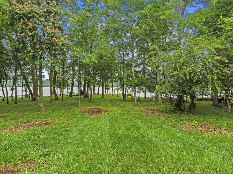 Property Image 58