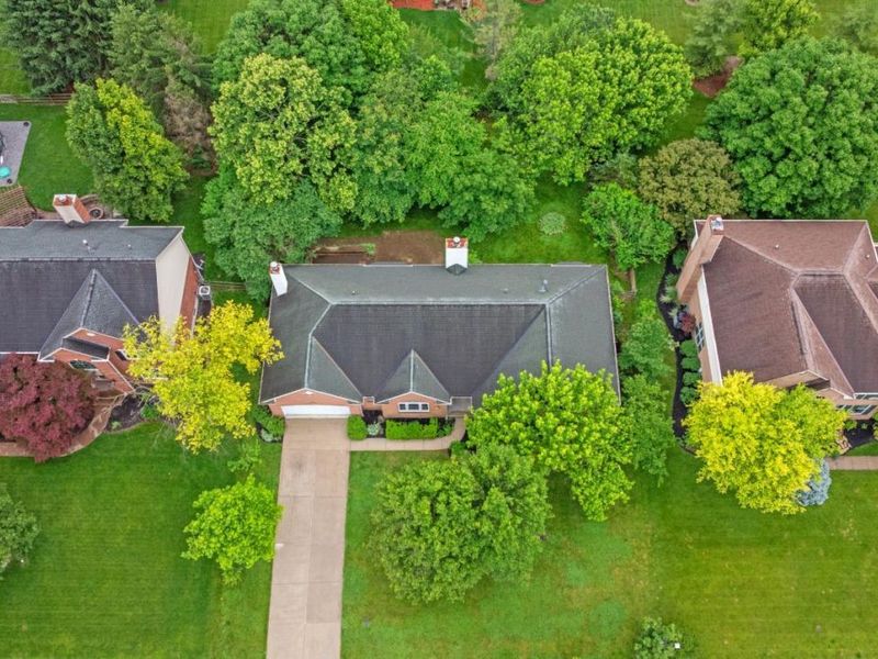 6019 Scotch Pine Drive, Miami Twp, OH 45150 Photo 3