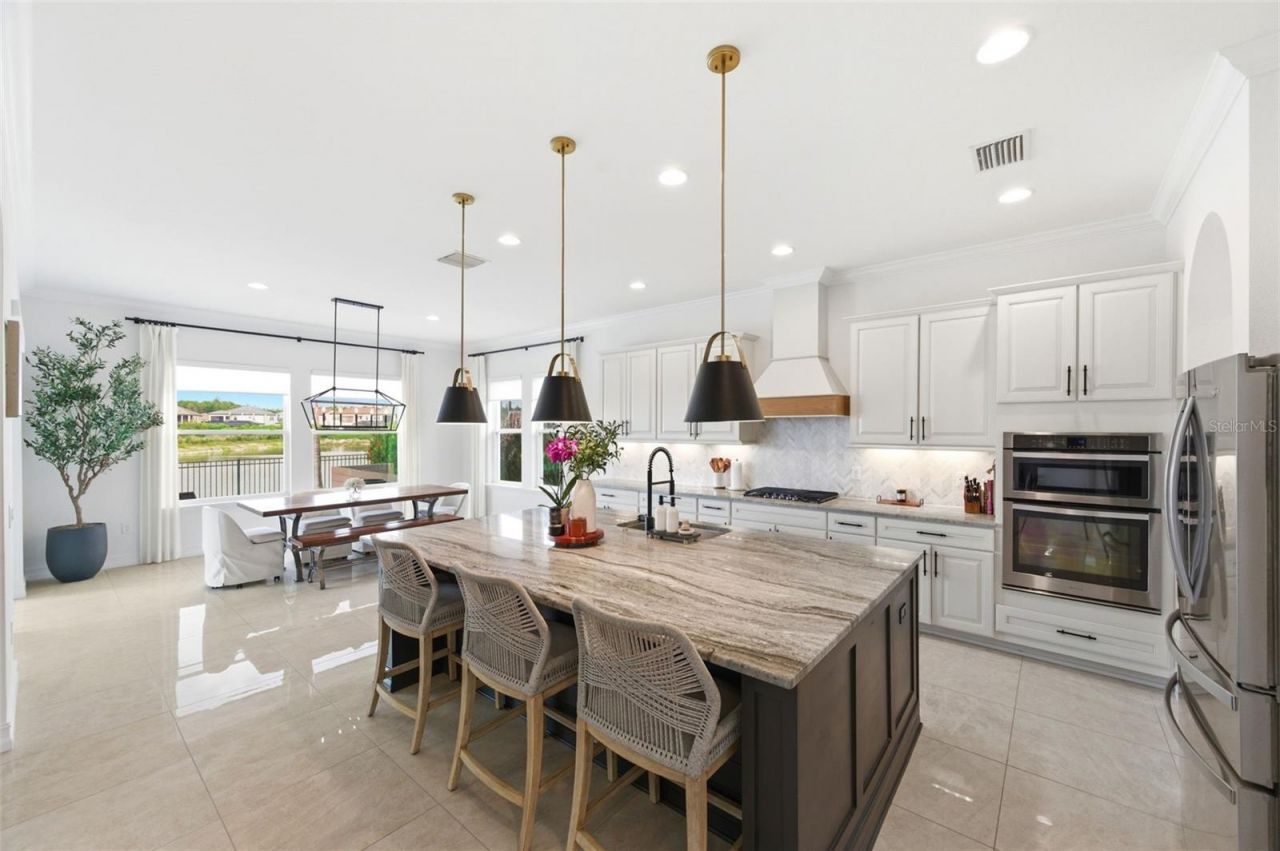 29357 Picana Lane, Wesley Chapel, FL 33543 Photo