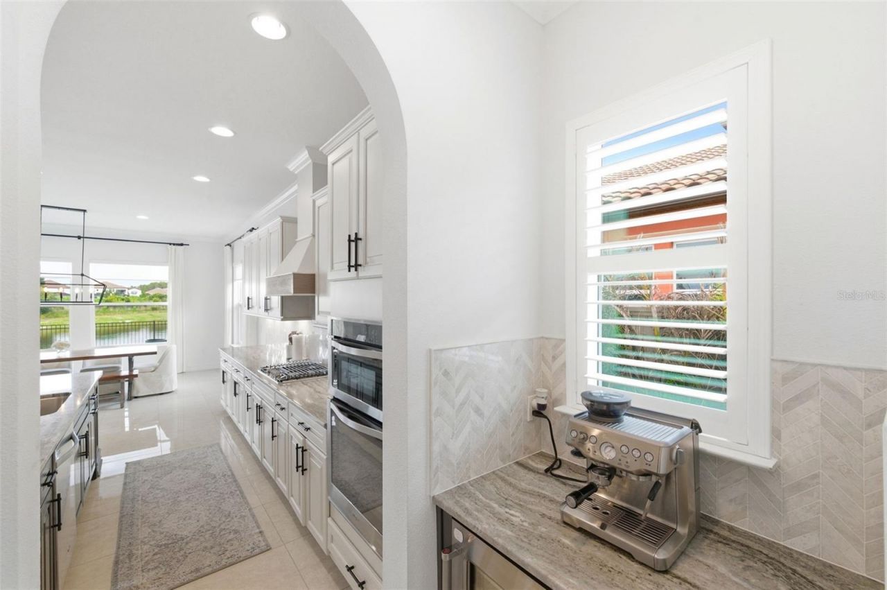 29357 Picana Lane, Wesley Chapel, FL 33543 Photo