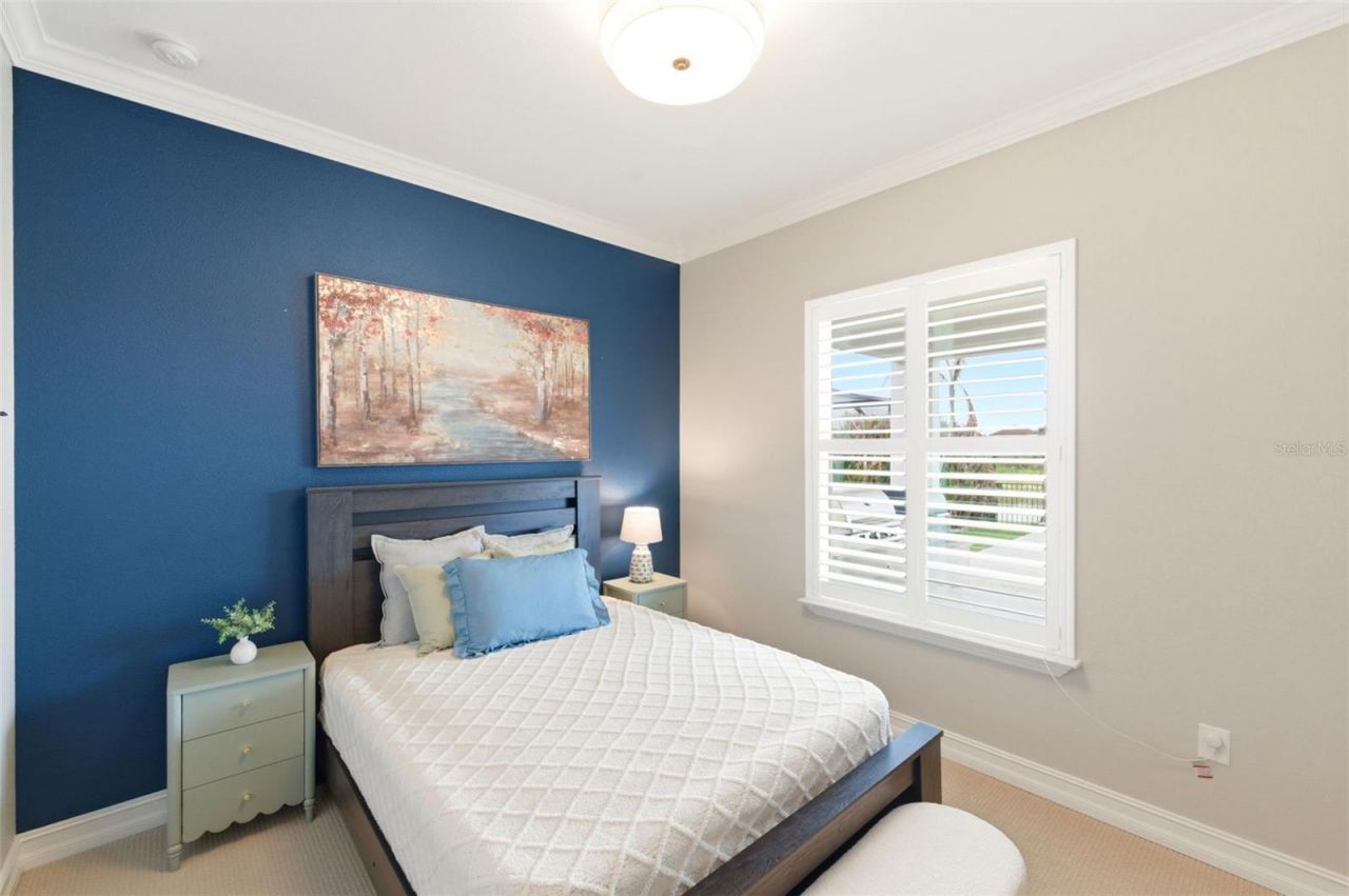 29357 Picana Lane, Wesley Chapel, FL 33543 Photo