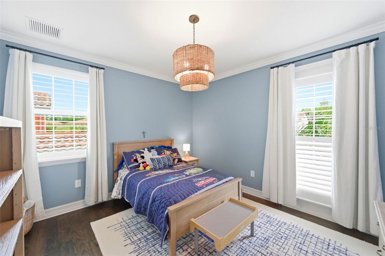 29357 Picana Lane, Wesley Chapel, FL 33543 Photo