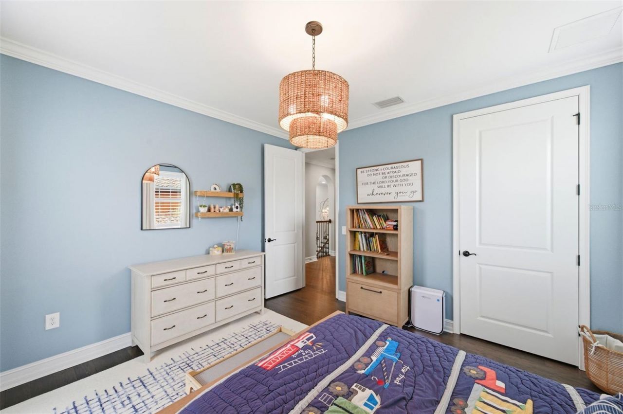 29357 Picana Lane, Wesley Chapel, FL 33543 Photo
