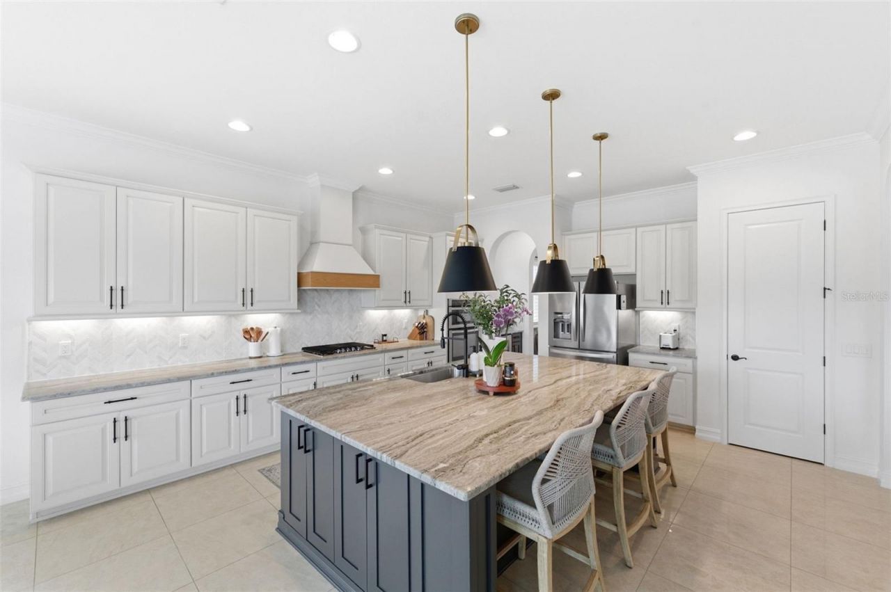29357 Picana Lane, Wesley Chapel, FL 33543 Photo