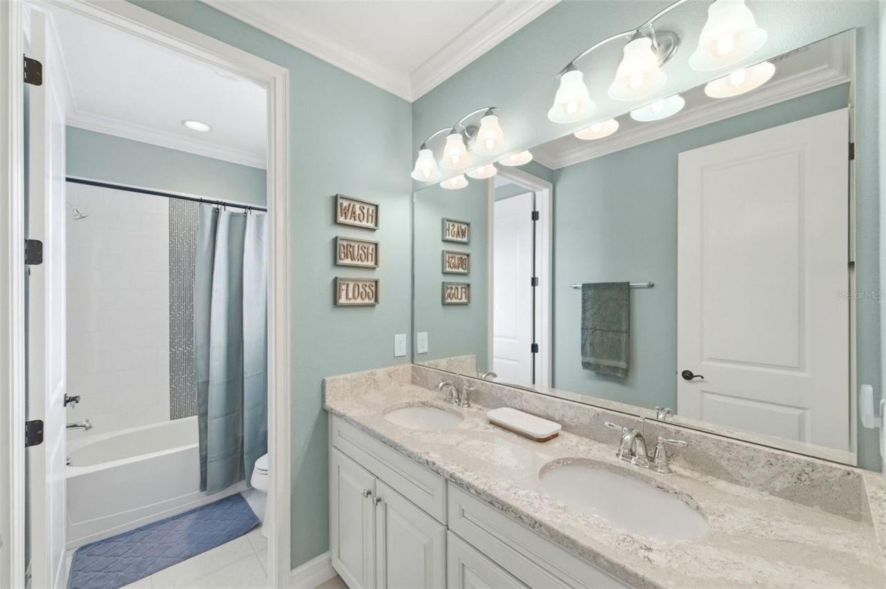 29357 Picana Lane, Wesley Chapel, FL 33543 Photo