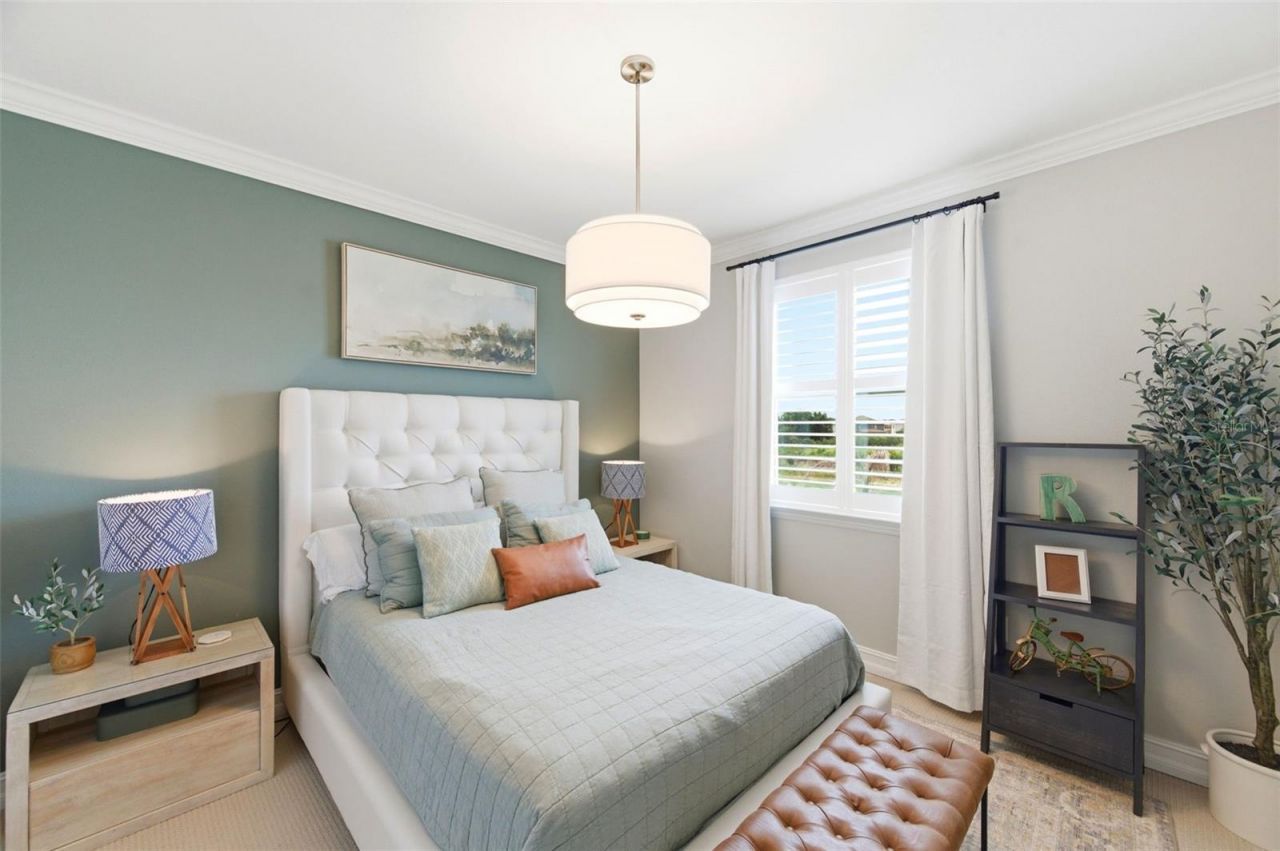 29357 Picana Lane, Wesley Chapel, FL 33543 Photo