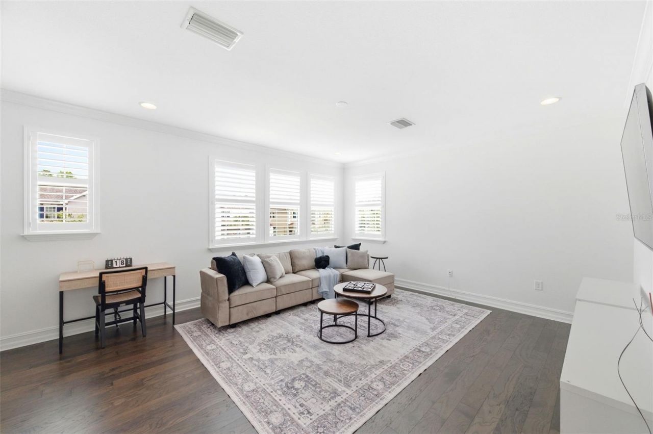 29357 Picana Lane, Wesley Chapel, FL 33543 Photo