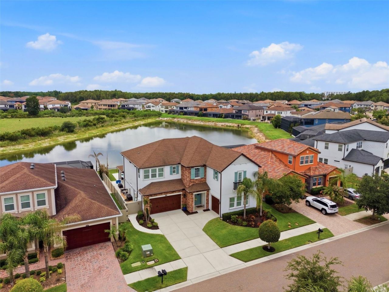 29357 Picana Lane, Wesley Chapel, FL 33543 Photo