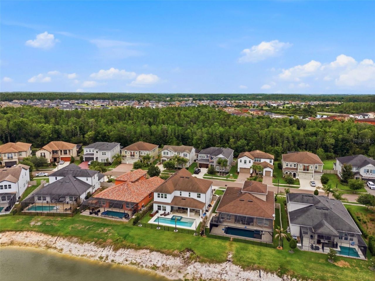 29357 Picana Lane, Wesley Chapel, FL 33543 Photo