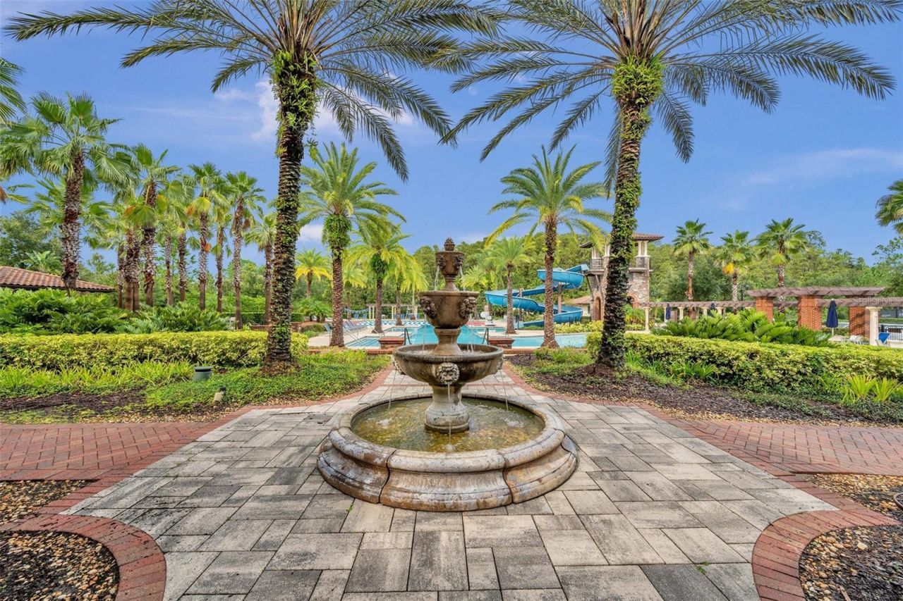 29357 Picana Lane, Wesley Chapel, FL 33543 Photo