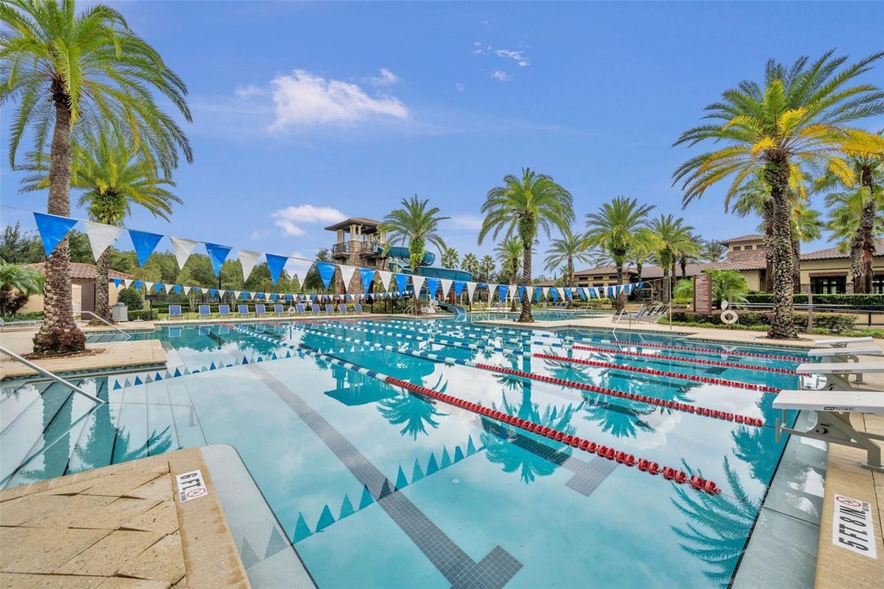 29357 Picana Lane, Wesley Chapel, FL 33543 Photo