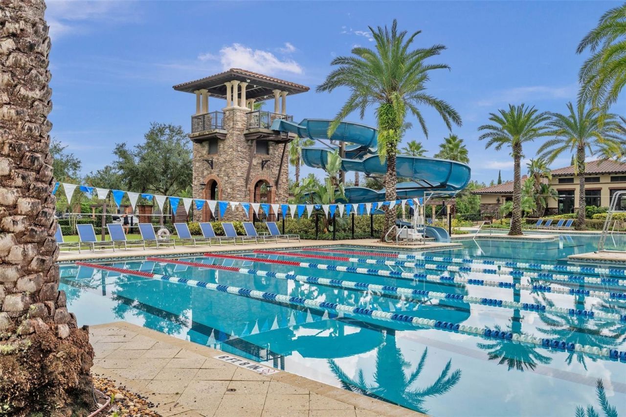 29357 Picana Lane, Wesley Chapel, FL 33543 Photo