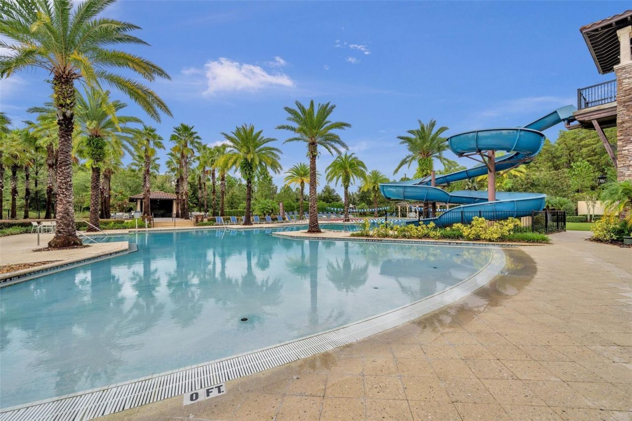 29357 Picana Lane, Wesley Chapel, FL 33543 Photo
