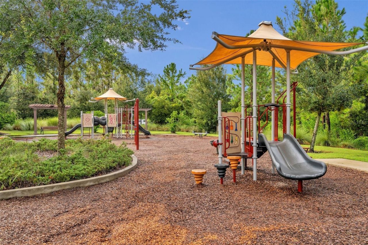 29357 Picana Lane, Wesley Chapel, FL 33543 Photo