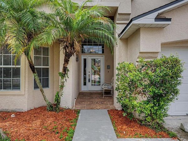 10238 CHARLESTON CORNER ROAD , TAMPA, FL 33635