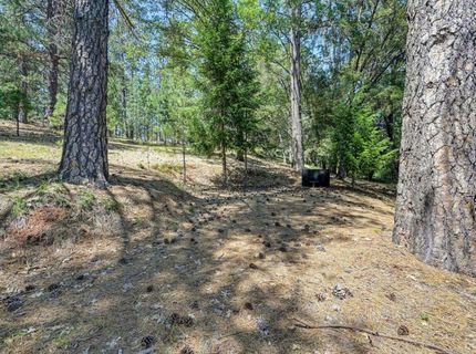 1205 Tokayana Ranch Lane, Colfax, CA 95713 Photo