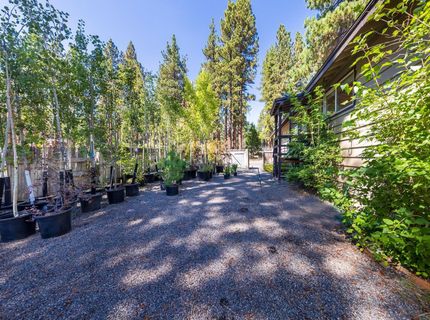 8229 Speckled Avenue, Kings Beach, CA 96143 Photo
