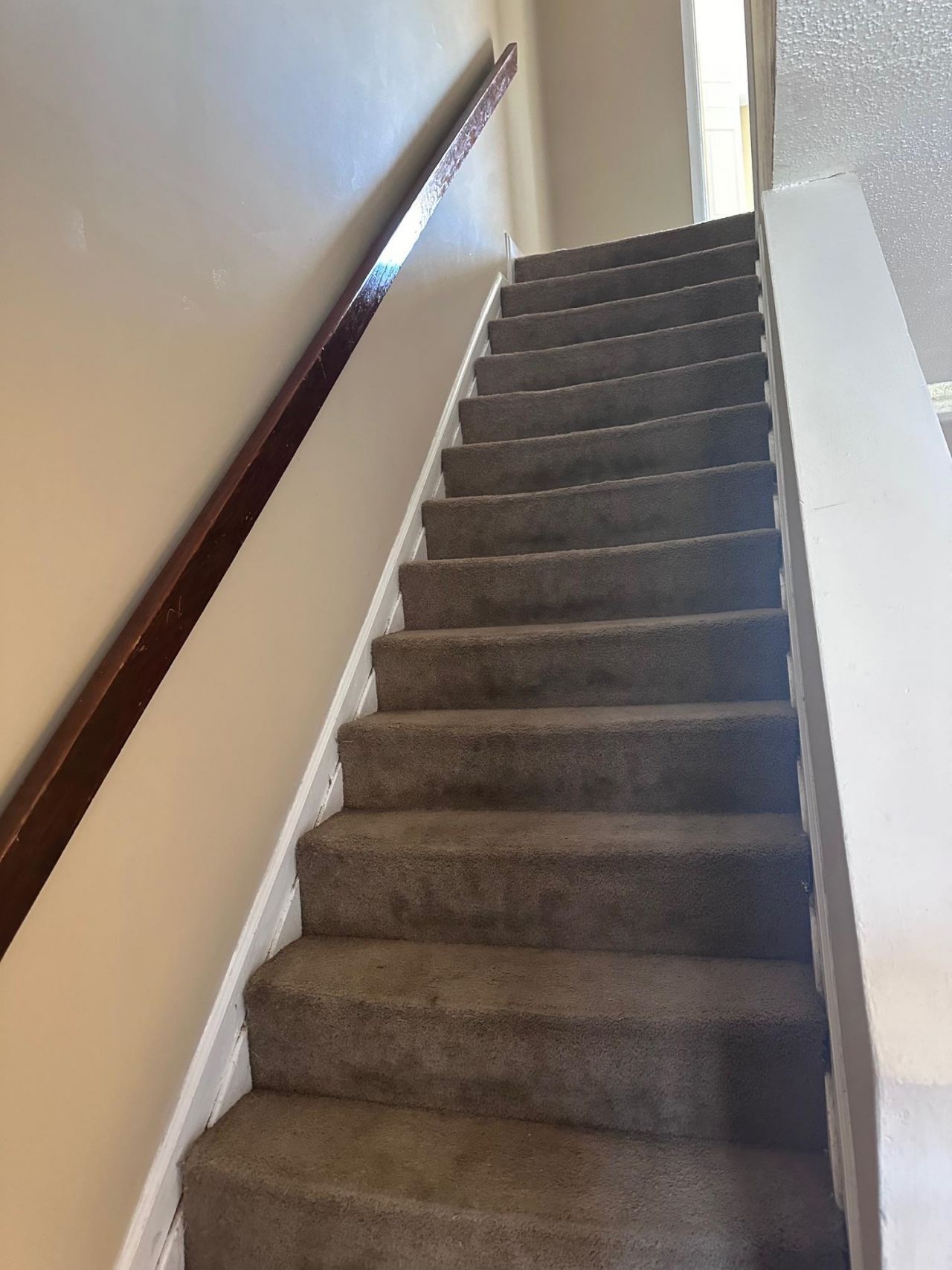 401 Garden Dr.  Photo 8