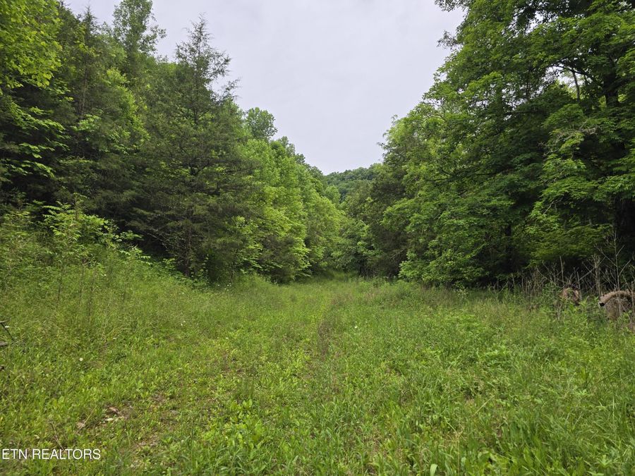 Property Image 45