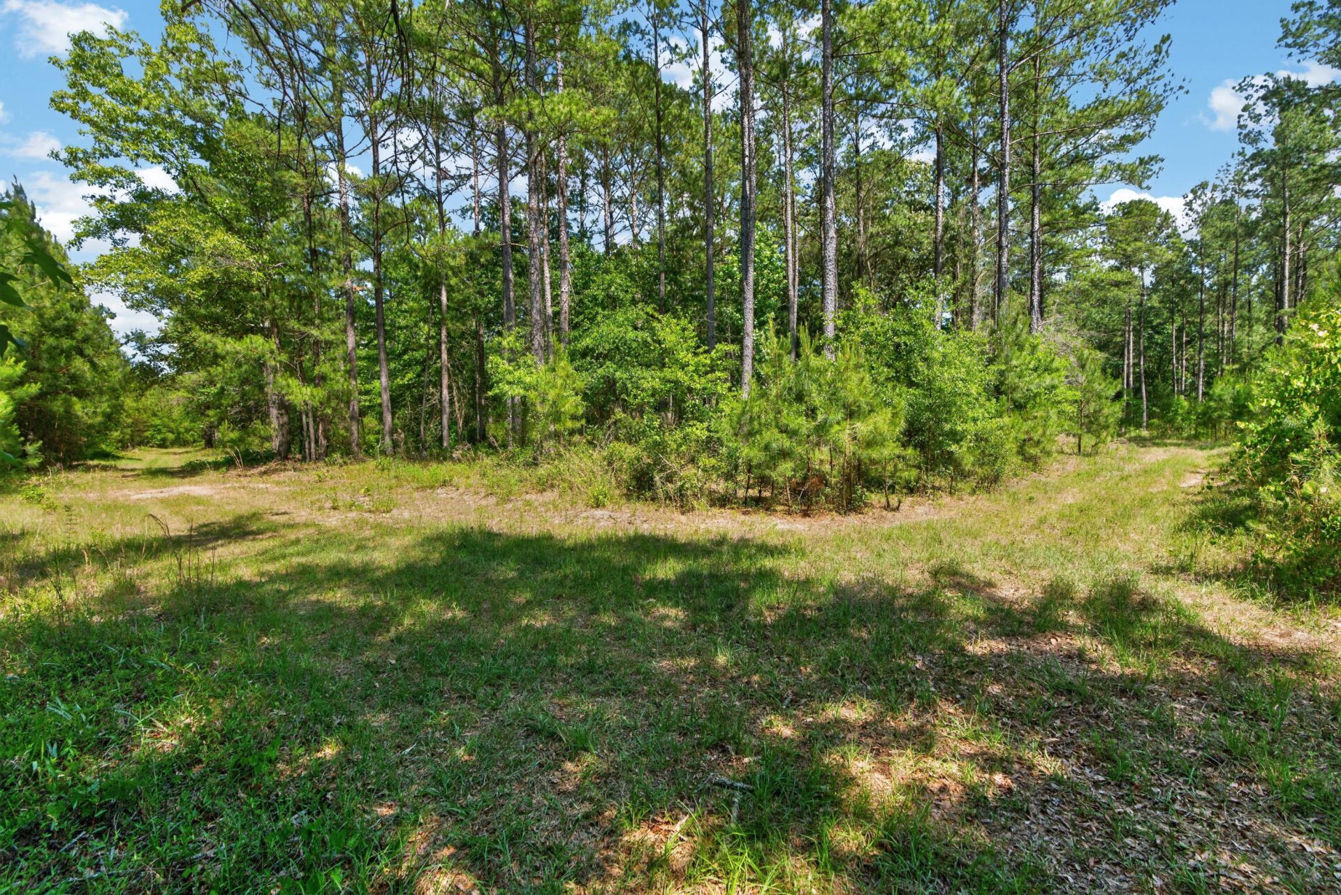 5120 N Brewington Road Photo 16