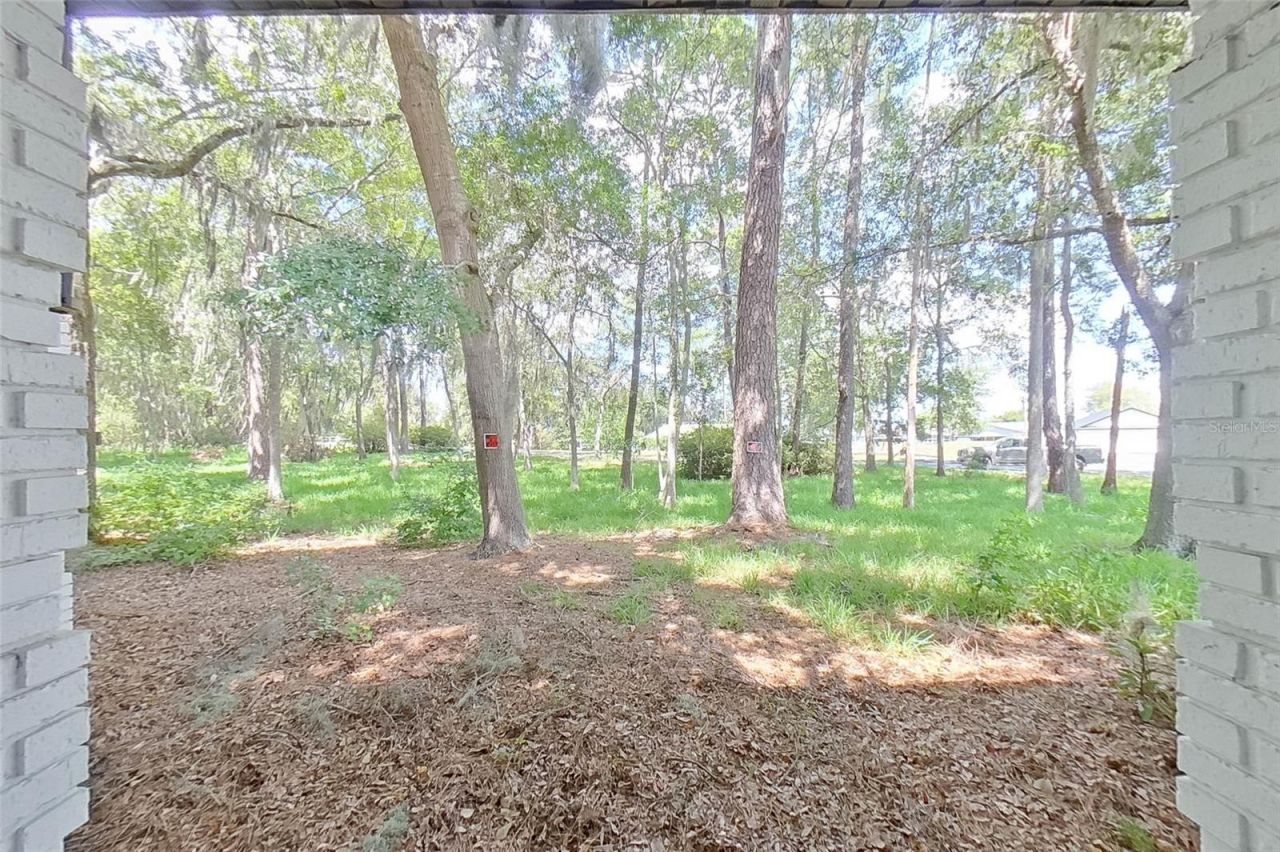6249 Lake Drive, Starke, FL 32091 Photo