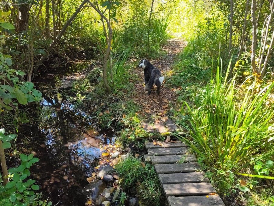 Property Image 33
