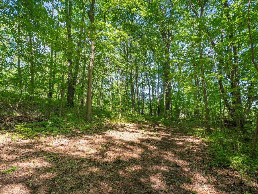 Property Image 38
