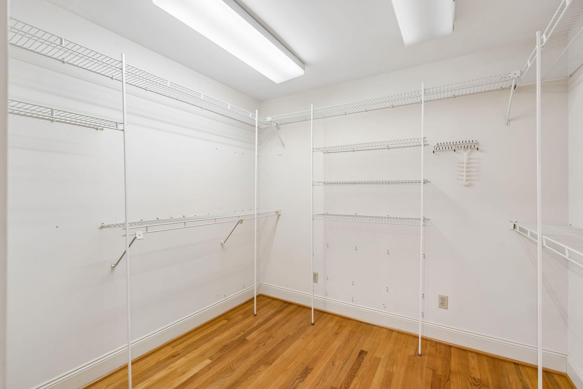 905 W Raysor Street Photo 34
