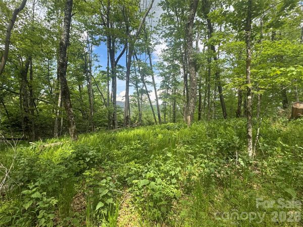 1026 Wolfs Head Court, Mars Hill, NC 28754