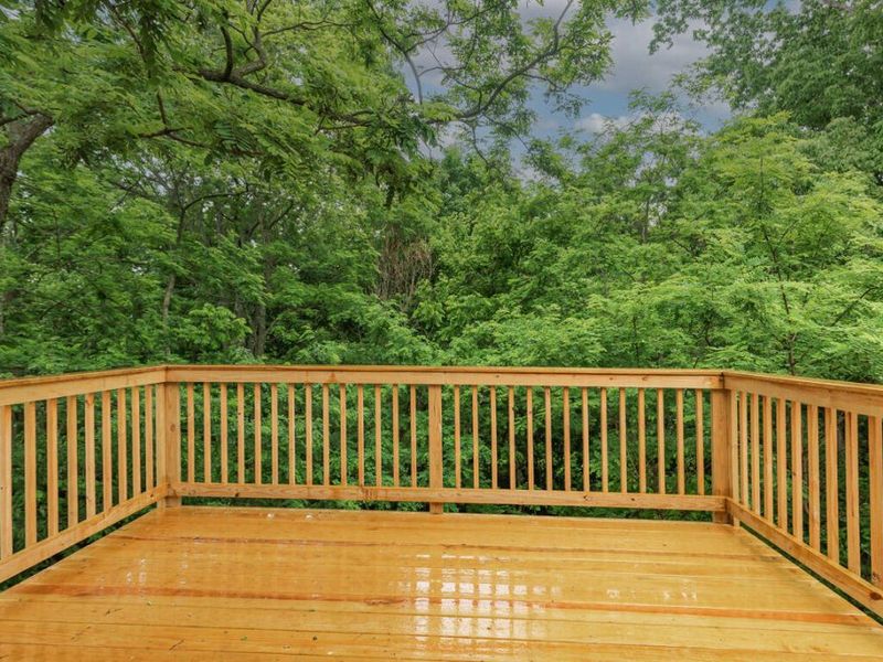 10725 Shadywood Drive, Independence, KY 41051 Photo 3