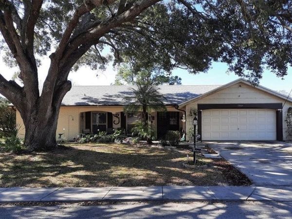 12605 River Mill Drive , Other Florida, FL 34667