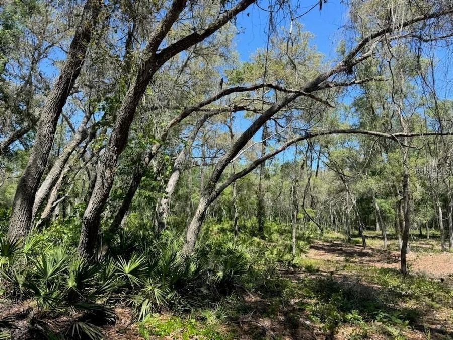 Property Image 6
