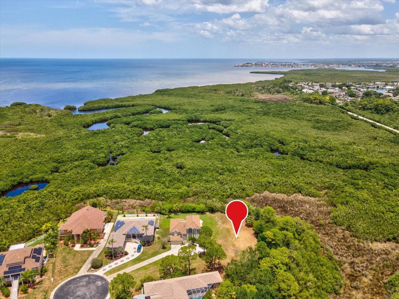 3046 Sheppards Crook Ct, Holiday, FL 34691 Photo