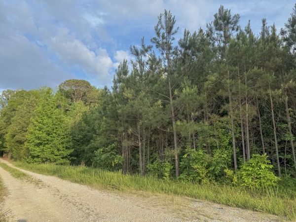 Tract #2&3 Dry Branch Road, Steens, MS 39766