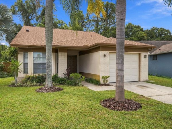 8601 TWIN FARMS PL, TAMPA, FL 33635