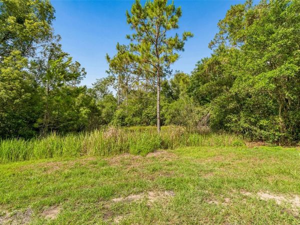 00 HAMRICH , DADE CITY, FL 33525
