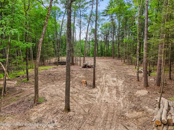 Tbd-Lot 1 Beaverkill Road, Kingston, NY 12401