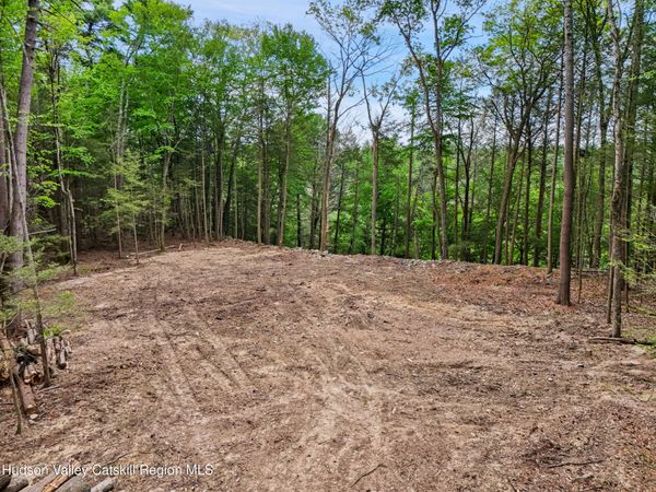 Tbd-Lot 1 Beaverkill Road, Kingston, NY 12401