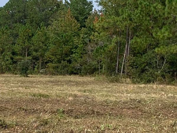 782 SW SISTERS WELCOME ROAD, Lake City, FL 32025