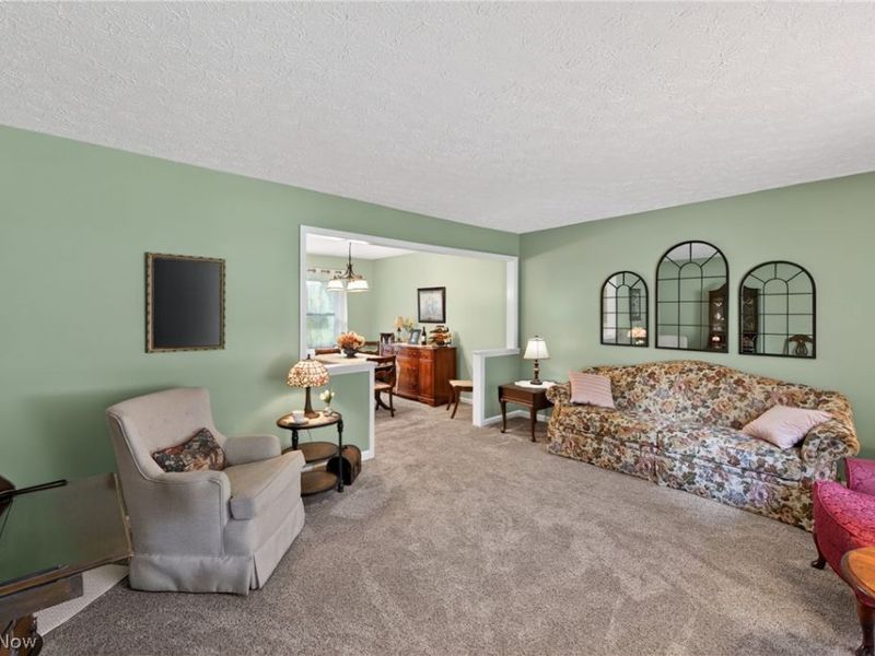 386 Tulip Trail, Wadsworth, OH 44281 Photo 13