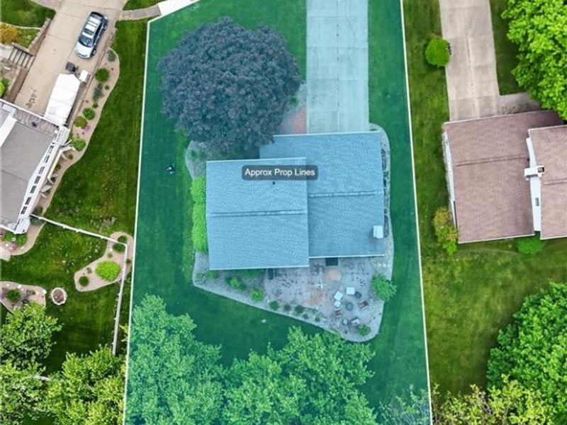 386 Tulip Trail, Wadsworth, OH 44281 Photo 28